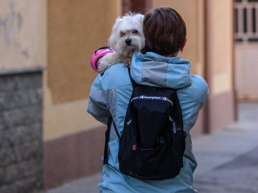 person carrying dog backpack emergency evacuation safety