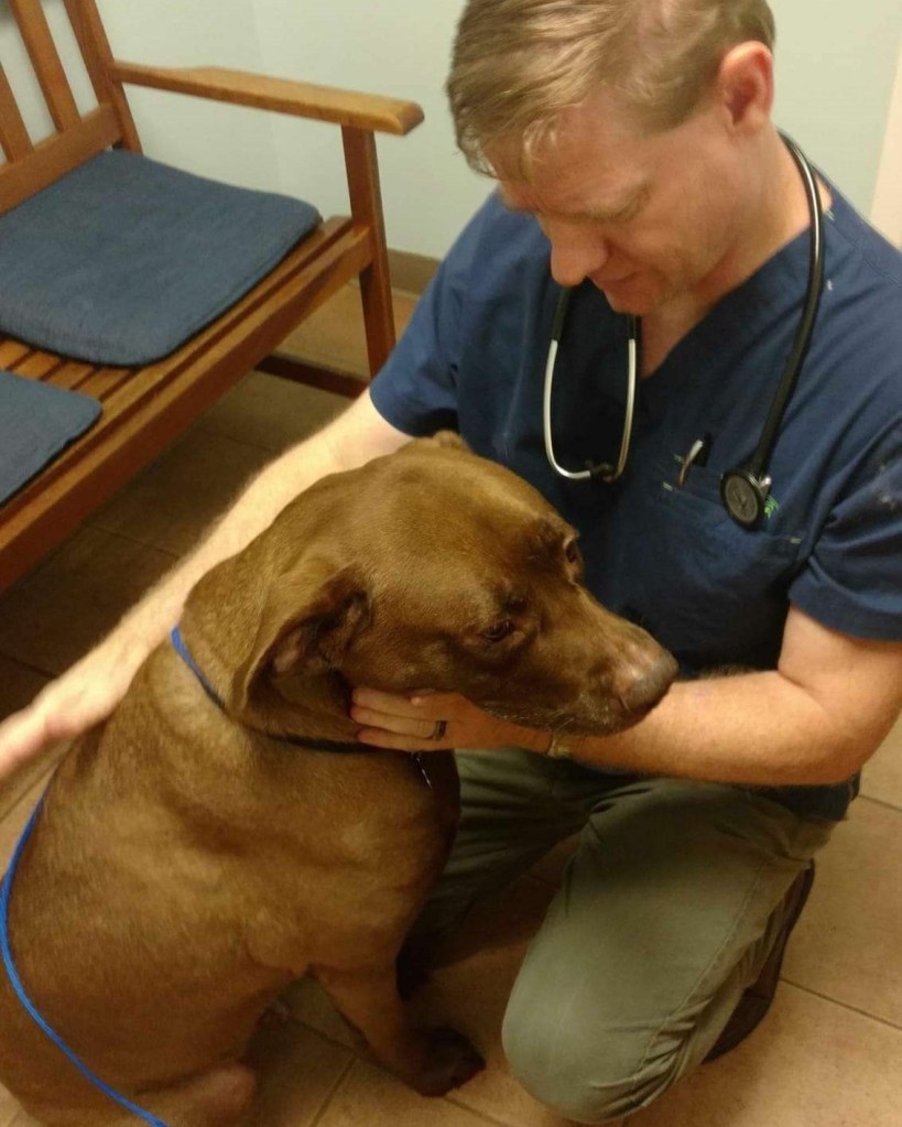 photo-of-my-husband-veterinarian-examining-dog