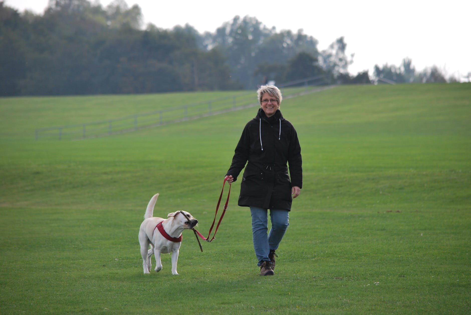 woman-walking-dog-carrying-stick-in-field