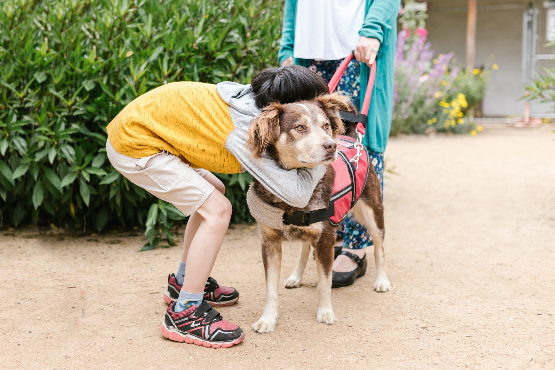 child-hugging-brown-working- service-dog