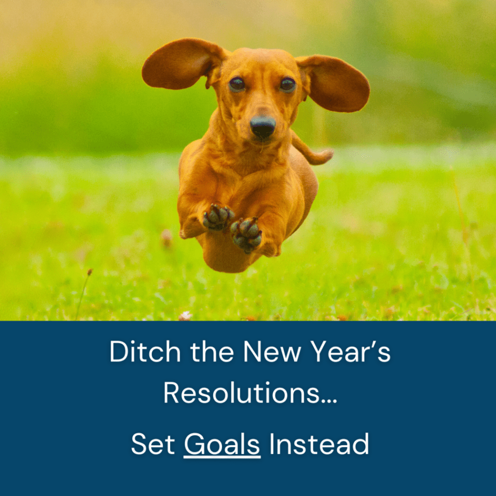 photo of dachshund dog running with caption reading Ditch the New Year's Resolutions. Set goals instead.